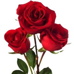 Meet your Posher, Mayra